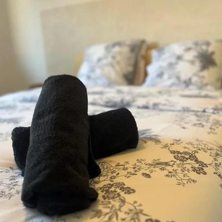 Cosy Rent Strasbourg Appartement Wifi Terrasse 外观 照片