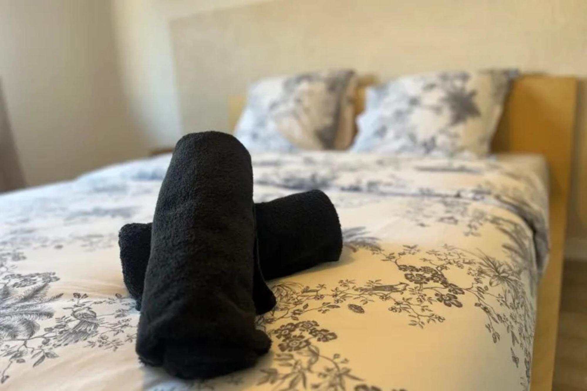 Cosy Rent Strasbourg Appartement Wifi Terrasse 外观 照片